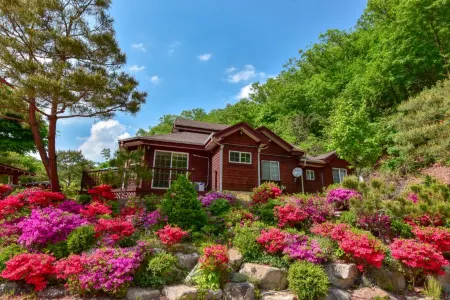 Hoengseong Dongdangmi Valley Campground and Dongdangmi Pension Отели в г. Хвенсон