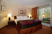 Best Western Branson Inn and Conference Center - Pet friendly