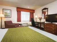 Best Western Amador Inn Hotels in Jackson