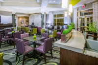 La Quinta Inn & Suites by Wyndham St. Louis Westport - Pysäköinti