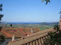 Castagno