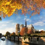 Modern Apartment - 1Br-4P- Saint-Mandé