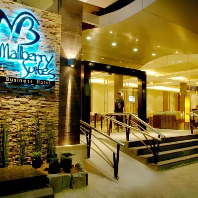 Mallberry Suites Business Hotel Hotels near Museum of Three Cultures