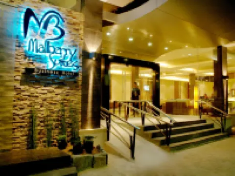 Mallberry Suites Business Hotel Hotels in 