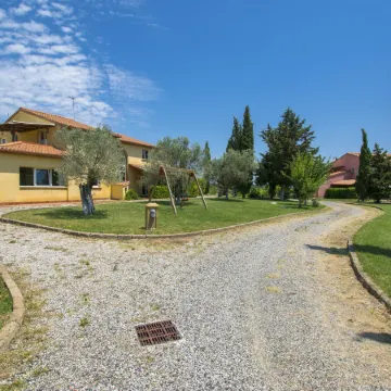 Il Felciaione