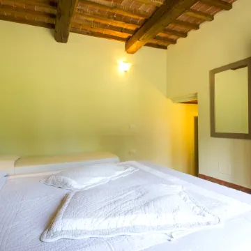 Il Felciaione