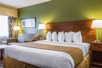 Quality Inn Flamingo - Bãi đậu xe