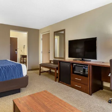 Comfort Inn Near Greenfield Village