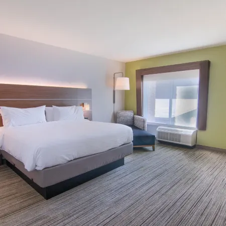 Holiday Inn Express & Suites MOBILE - UNIVERSITY AREA by IHG