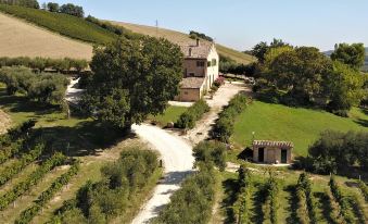 Ancient Farmhouse with Winery XIV Century