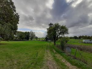 Peaceful Mansion in Nattenheim with Terrace and Garden