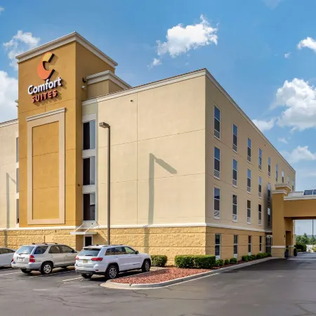 Comfort Suites Anderson-Clemson Отели в г. Андерсон