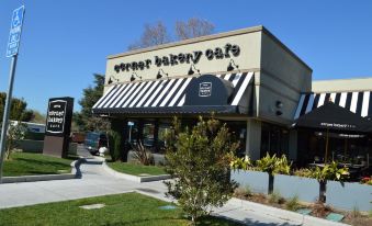 Palo Alto Lodge