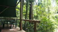 Daintree Crocodylus Hotels in Daintree