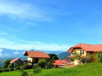 Guayabo Lodge Hotels near Ceiba Hospital