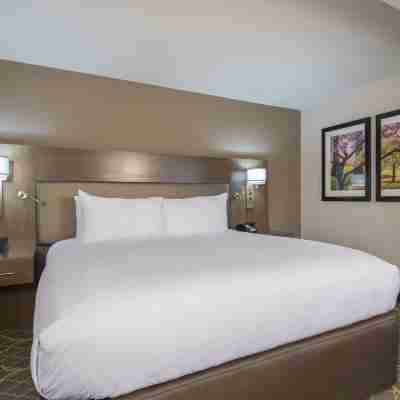 DoubleTree by Hilton Winston Salem - University Rooms