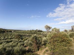 Greenland Villa a Hidden Gem under Cretan Sun