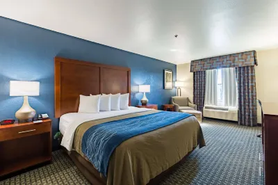 Best Western Northwest Corpus Christi Inn  Suites Hotels near Garden Center at The Home Depot