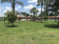Silver Princess Motel