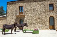 La Quercia e l'Asino