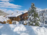 Aster Boutique Hotel & Chalets