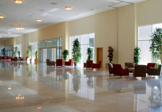 와우 에어포트 호텔