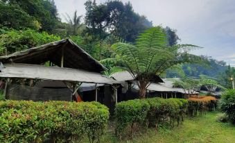 Herman Lantang Camp