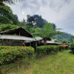 Herman Lantang Camp Hôtels à : Pamijahan
