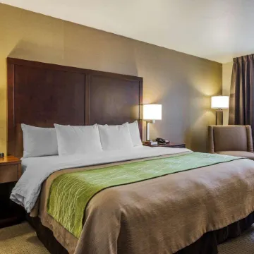 Comfort Inn Kent - Seattle