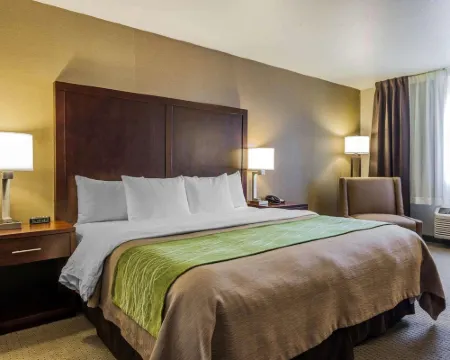 Comfort Inn Kent - Seattle