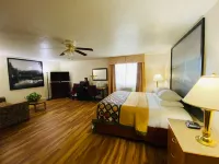 Super 8 by Wyndham Anderson/Clemson Area Hotels in Anderson
