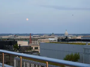 Conrad Washington DC