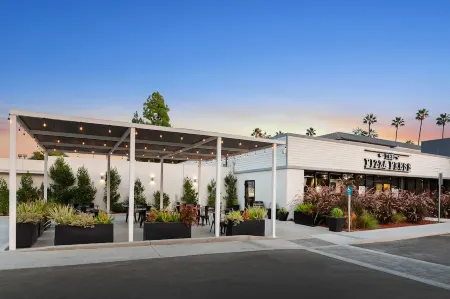 Anaheim Hotel Отели рядом с достопримечательностью «Луигис Ролликин Роудстерс»