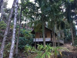 Aroha's Eco Hill Resort