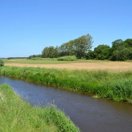 "Herman" - 22km from the Sea