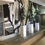 First Divine Suites - Hydro Park