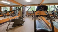 Best Western Executive Inn - Gym