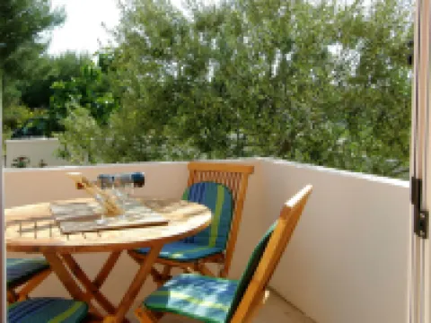 Maslina Hotels in Srima