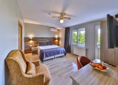 Palmada Hotel Hotel a Distretto di Adapazarı