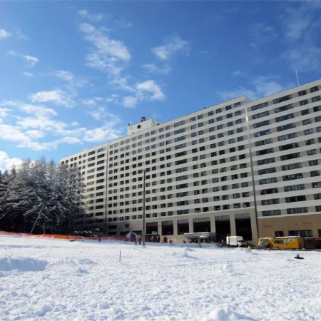Hotel Angel Grandia Echigo-Nakazato Отели рядом с достопримечательностью «Горнолыжный курорт Иваппара»