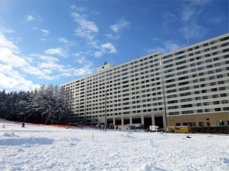 Hotel Angel Grandia Echigo-Nakazato Отели в г. уезд Минамиуонума