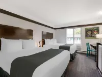 Stoke Hotel SureStay Collection by Best Western Hotels in Revelstoke