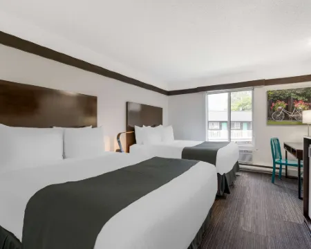 Stoke Hotel SureStay Collection by Best Western Hotels in Revelstoke