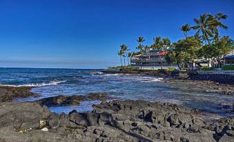 Kailua Studio w/ Pool Access & Garden Views!
