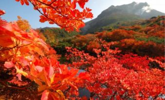 Hotel Shiki No Yakata Nasu