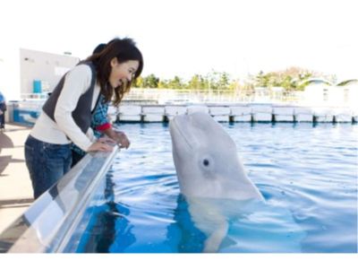 ホテル周辺 ローズホテル横浜の写真