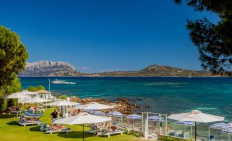 The Pelican Beach Resort & Spa - Adults Only