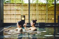 Hotel Indigo Inuyama Urakuen Garden by IHG - suối nước nóng