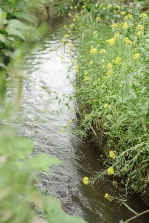 Yamato Seseragi-so Отели рядом с достопримечательностью «九州のへそ基石»