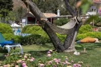 Marti la Perla - Adult Only+16 Hotels near Dolphin-Park Marmaris